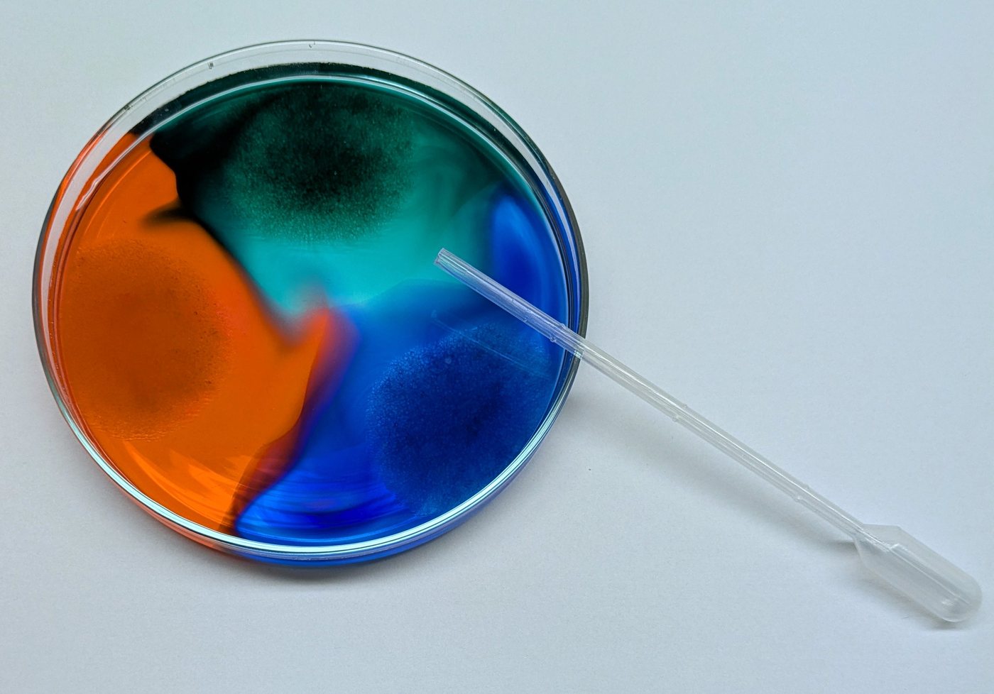 Kinder beim Farbexperiment im Kurs für Vorschul- und Grundschulkinder