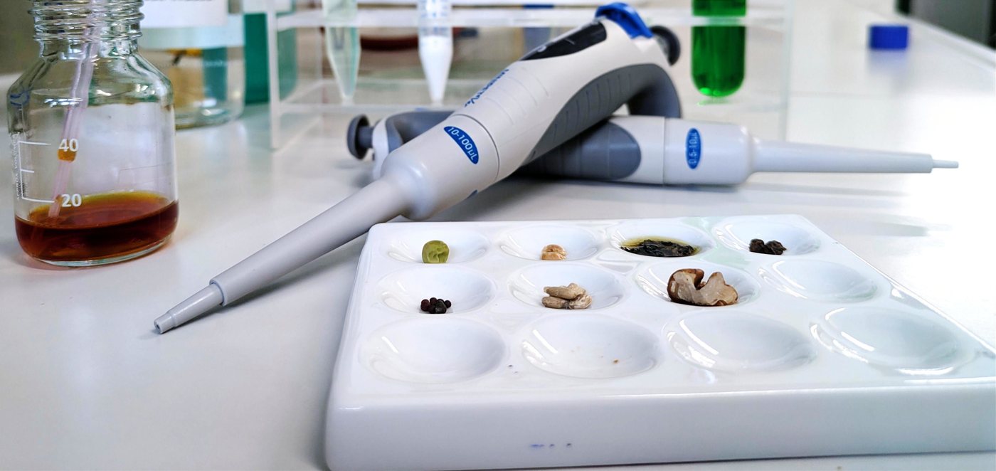 Nachweis biologischer Stoffe im Laborkurs