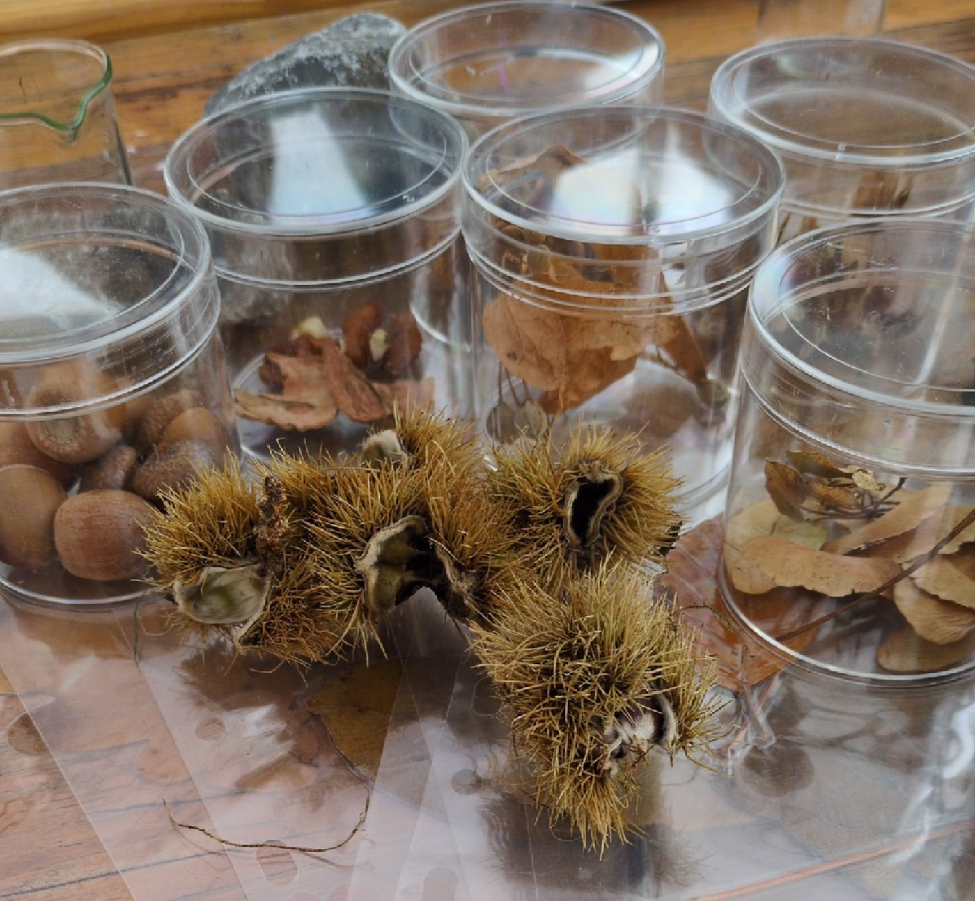 Kinder beim Herbstspezial-Kurs im Grünen Labor