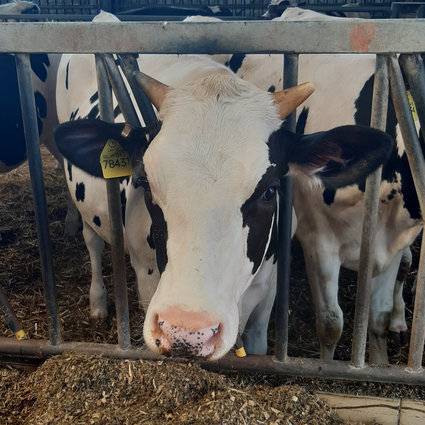 Kurs „Landwirtschaft im Fokus von Schülern“
