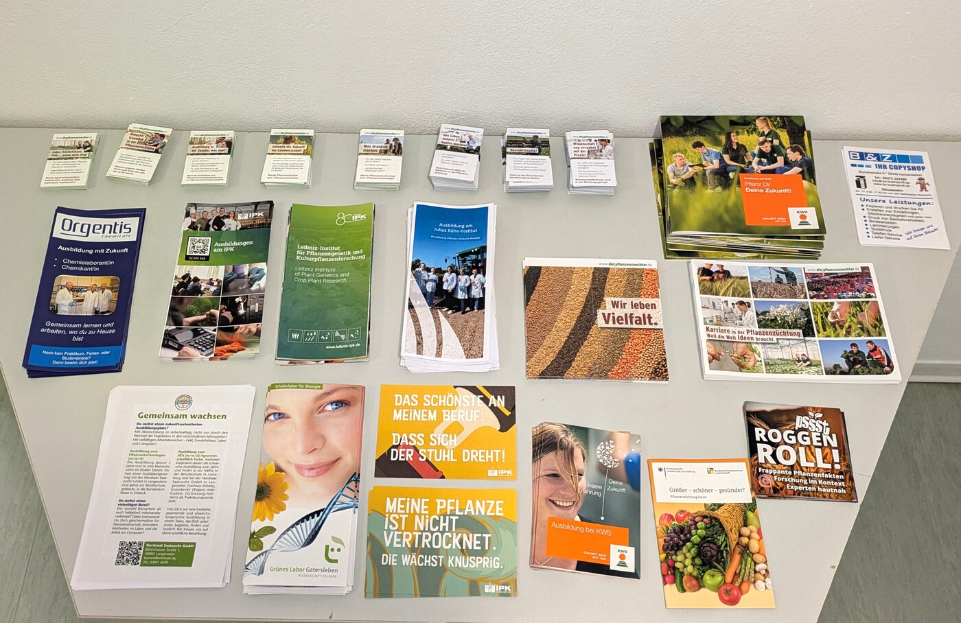Tisch mit Informationsmaterial zur Berufsorientierung: Ausbildungsflyer von IPK, Julius Kühn-Institut, KWS und dem Grünen Labor Gatersleben